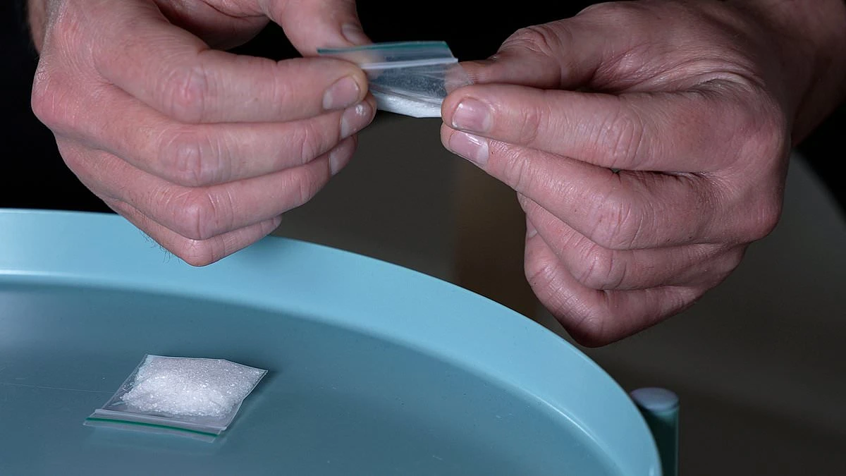 ਨਸ਼ਿਆਂ ਦੀ ਬੜੀ ਕਬਜ਼ਾਤ, 1973 ਤੋਂ ਸਭ ਤੋਂ ਵੱਧ ਗਿਨਤੀ