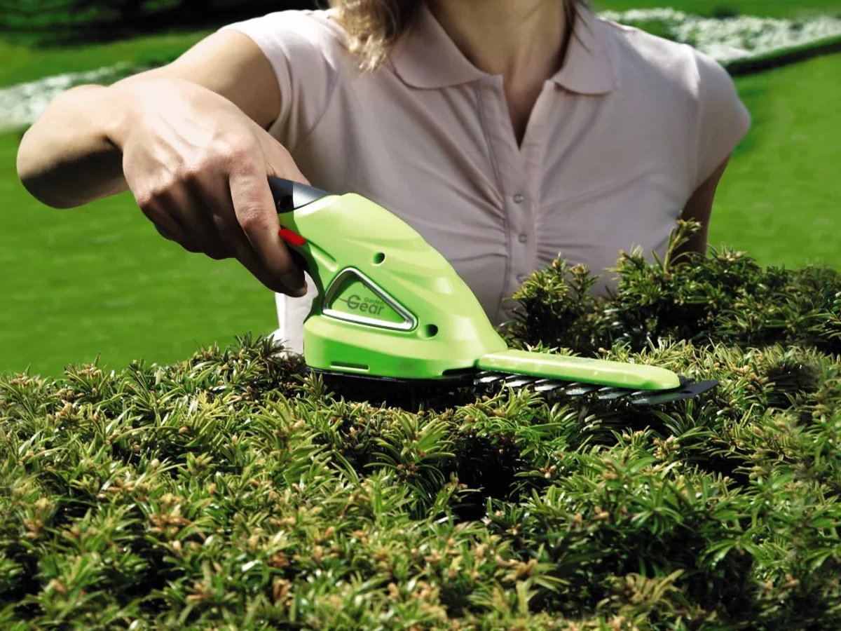 ਬਿਜਲੀ ਵਾਲੇ ਕੋਰਲੈੱਸ ਅੱਡੇ ਨਾਲ ਬਾਗਬਾਨਾਂ ਦੀ ਨਸੀਬ ਬਦਲੇਗਾ