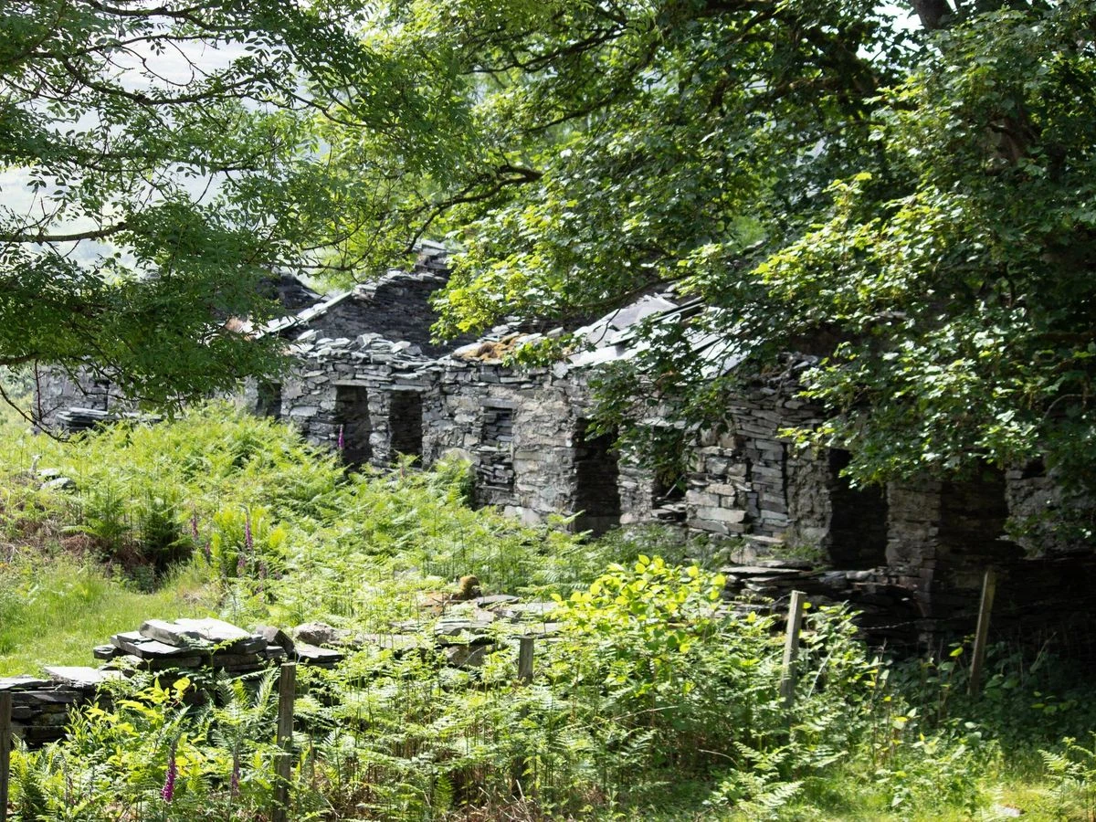 ਪੁਰਾਨੀ ਅਧੂਰੀ ਪਿੰਡ ਦੀ ਕੁਦਰਤ ਵੱਲ ਵਾਪਸੀ