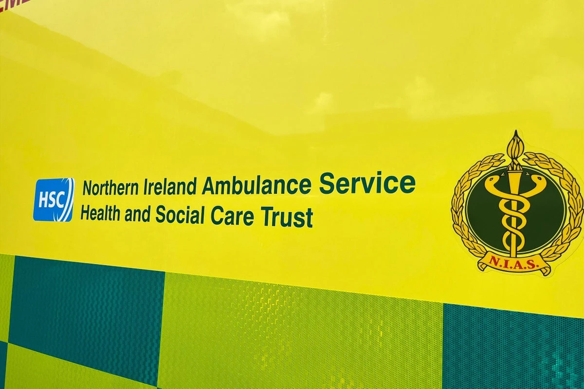 ਉੱਤਰੀ ਆਇਰਲੈਂਡ 'ਚ ਸਕੂਲ ਬੱਸ ਦਰਕਾ ਗਈ