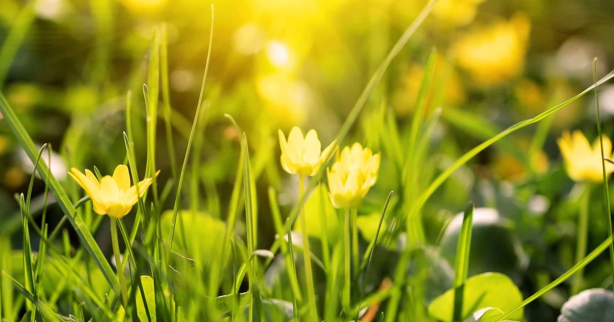 ਪੰਜਾਬ ਵਿੱਚ ਬਿਜਲੀ ਕੱਟਮੱਟੀ ਤੇ ਰੋਸ਼ਨੀ ਮੁਸ਼ਕਿਲਾਂ ਵਧ ਰਹੀਆਂ ਹਨ