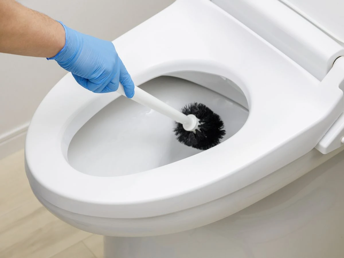 ਟੋਇਲਟ ਦੀ ਬਰਸ਼ ਕਿੰਨੀ ਵਾਰੀ ਬਦਲਣੀ ਚਾਹੀਦੀ?