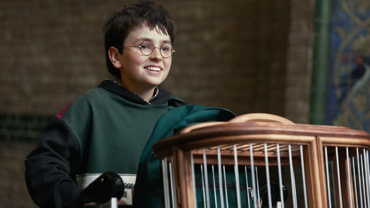 ਹੈਰੀ ਪਾਟਰ ਸਿਰਜੀ 2026 ਕਰਿਸਮਸ 'ਤੇ ਆ ਰਹੀ ਹੈ