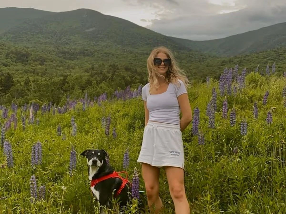 ਨਿਊ ਯਾਰਕ ਵਿੱਚ ਯਾਤਰੀਨੀ ਦੀ ਬਰਫ 'ਚ ਮੌਤ, ਕੁੱਤਾ ਸਾਥੀ ਬਚਿਆ