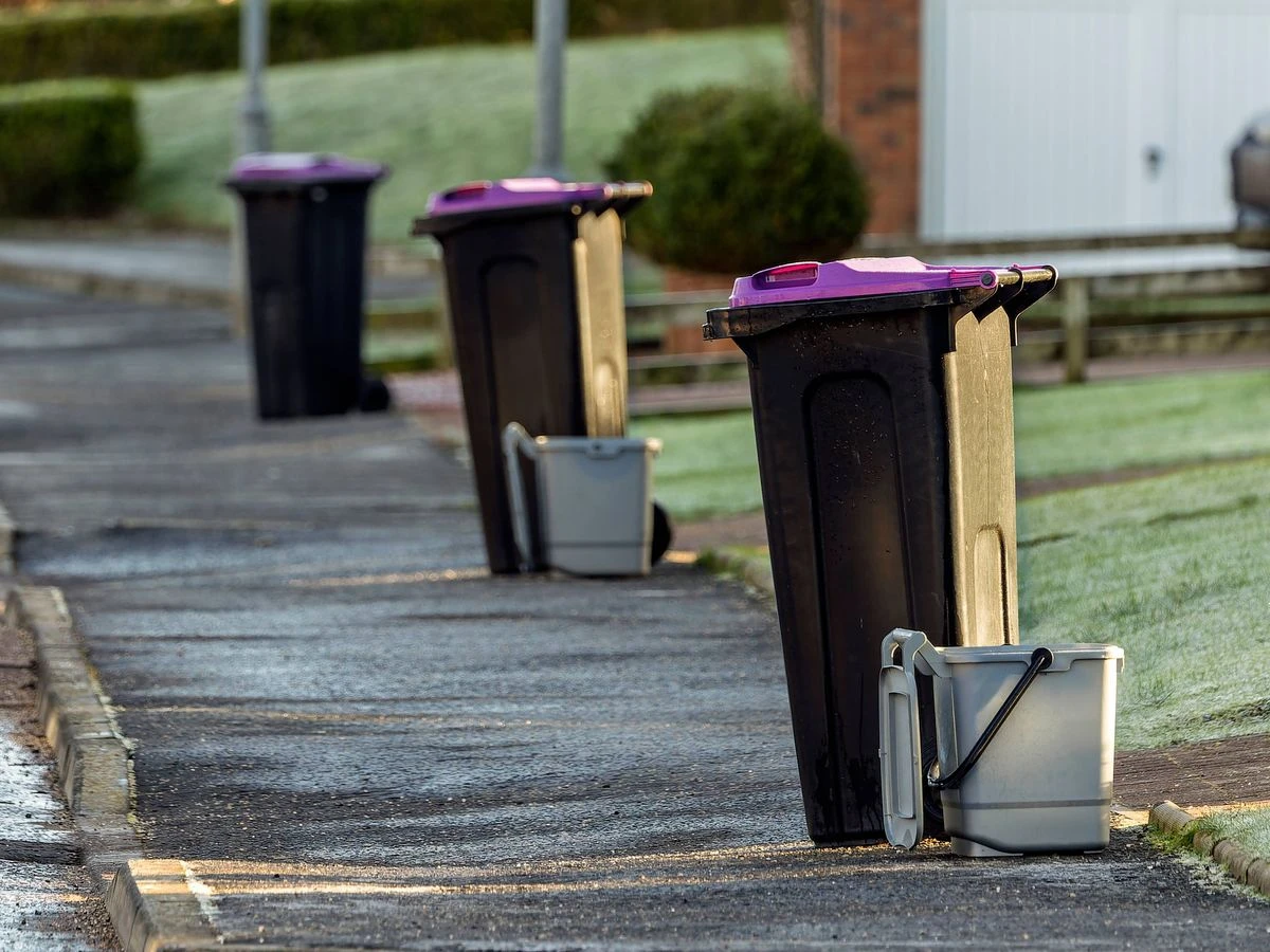 ਫੁੱਡ ਵੇਸਟ ਵਿੱਚ ਬਿੱਲੀ ਦੀ ਰੇਤੀ ਨਾ ਪਾਓ, ਕਚਰਾ ਨਹੀਂ ਲਿਆ ਜਾਵੇਗਾ