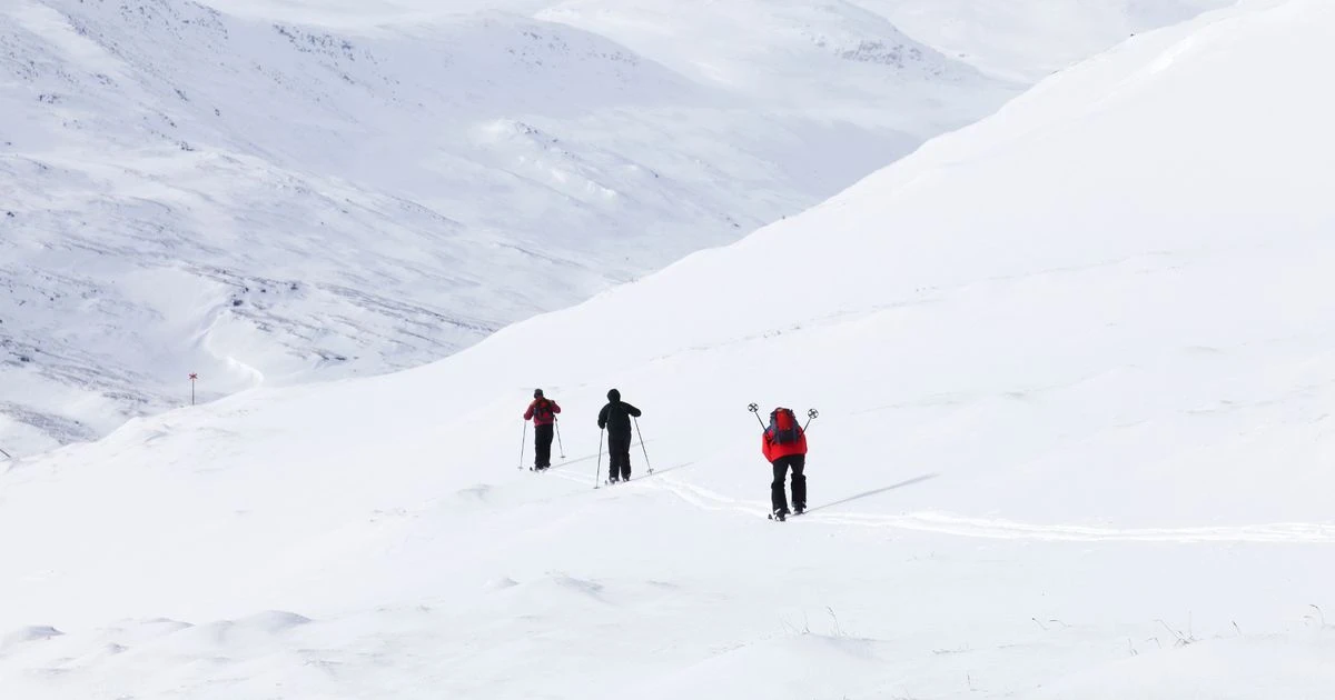 ਸਵੀਡਨ ਵਿਚ ਹਿਮ ਸੜਕ ਦੌਰਾਨ ਲੋਕ ਫਸੇ