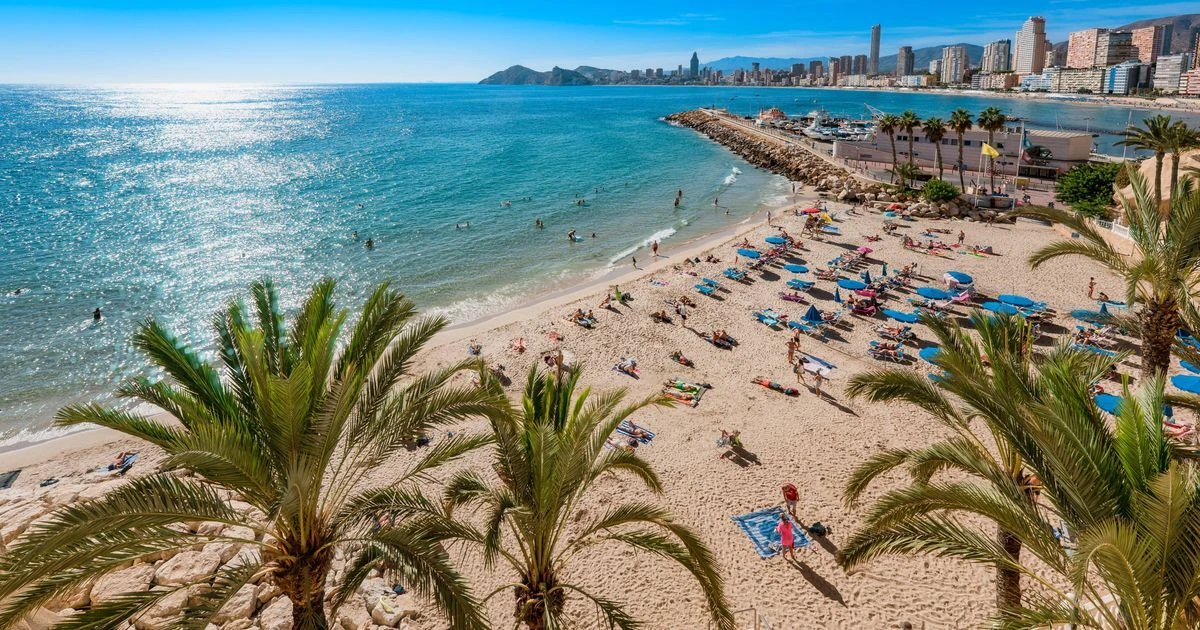 ਬੇਨੀਡੋਰਮ ਵਿੱਚ ਗੈਰਕਾਨੂੰਨੀ ਕੋਕਟੇਲ ਵੇਚਣ ਵਾਲਿਆਂ ਤੋਂ ਸਤਿਰਕੀ ਸਾਵਧਾਨੀ