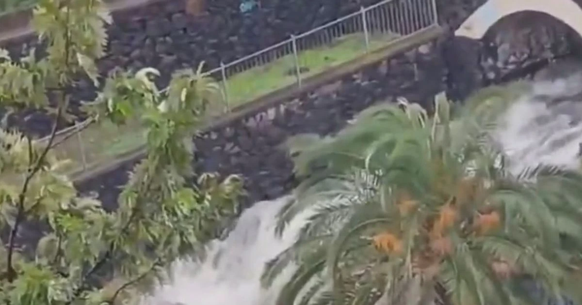 ਤਨੇਰੀਫ਼ 'ਚ ਤੂਫਾਨ ਬਾਅਦ ਸੈਲਾਨੀਆਂ ਨੇ ਲੱਭਿਆ ਮ੍ਰਿਤਕ ਸਰੀਰ