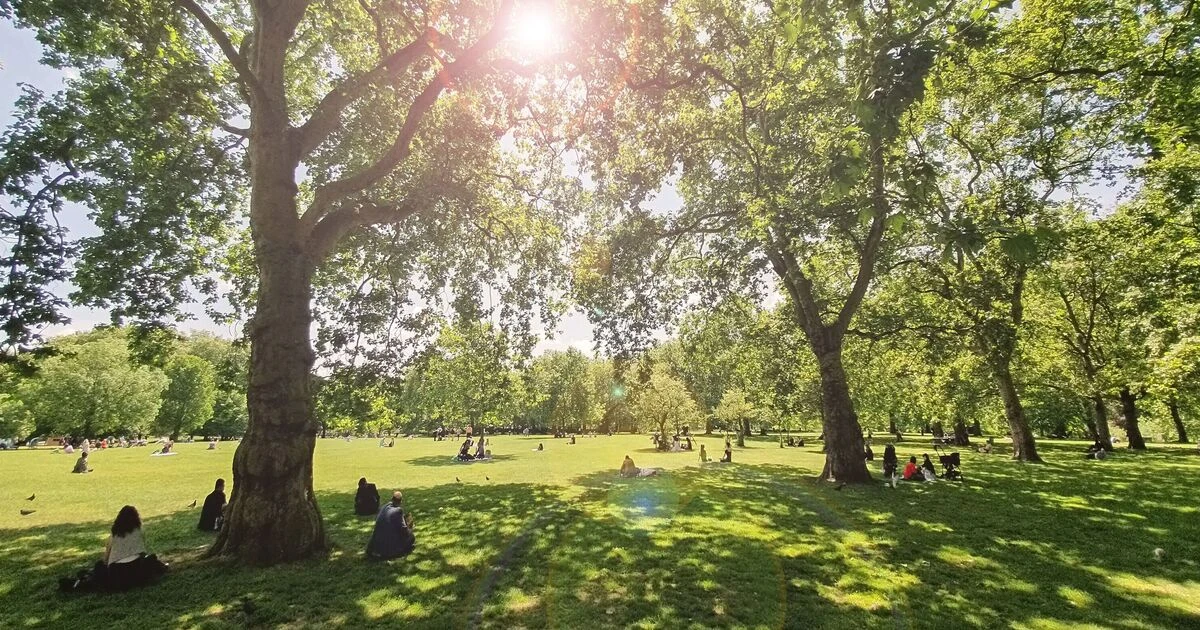 ਪੰਜਾਬ ’ਚ ਬੜੀ ਹਾਰ ਵੇਖੀ ਗਈ