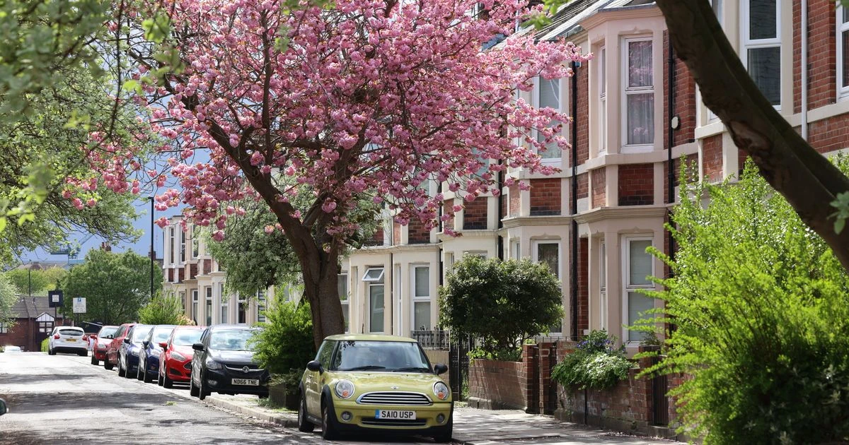 ਨਿਊਕੈਸਲ ਦਾ ਸੈਂਡੀਫੋਰਡ ਛੋਟੇ ਉਮੀਦਵਾਰਾਂ ਲਈ ਸਰਵੋਤਮ ਸਥਾਨ ਚੁਣਿਆ ਗਿਆ