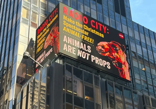 ਪੇਟਾ ਨੇ ਰੇਡੀਓ ਸਿਟੀ ਦੇ ਜਾਨਵਰ ਸ਼ੋਅ ਖਿਲਾਫ਼Times Square ’ਚ ਸੁਨੇਹਾ ਦਿੱਤਾ